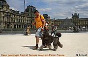 In front of the Louvre