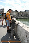 Looking over the Seine in Paris